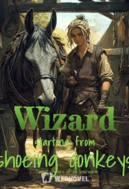 Wizard starting from shoeing donkeys